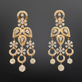 Fancy Diamond Earrings 2